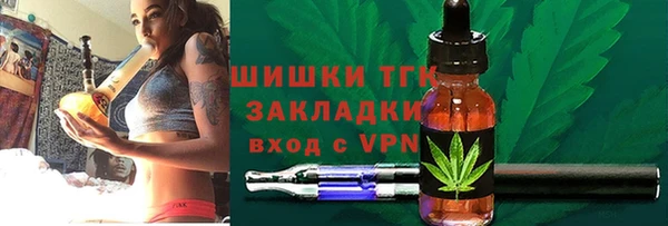 сатива Аркадак