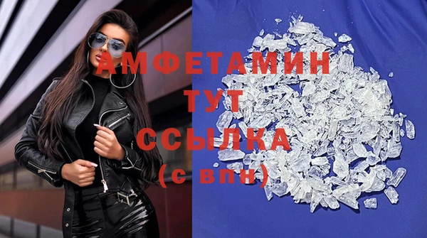 сатива Аркадак