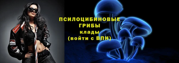 сатива Аркадак