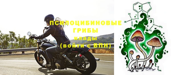 сатива Аркадак