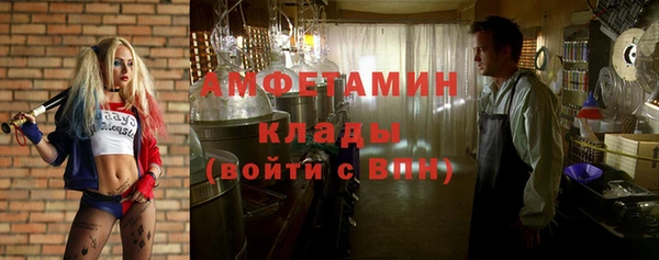 сатива Аркадак