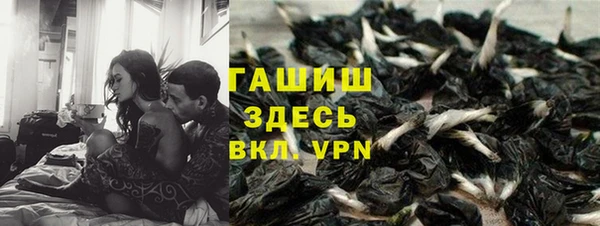 сатива Аркадак