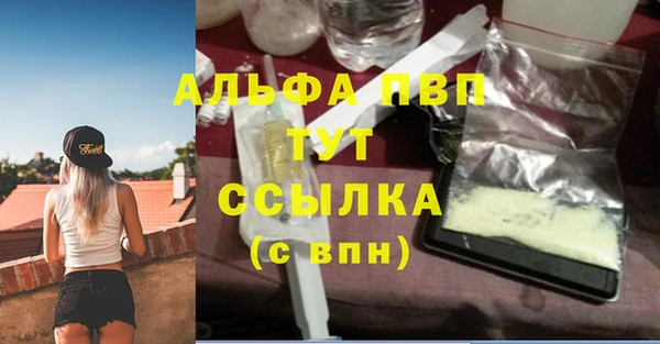 сатива Аркадак