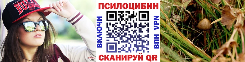 mega сайт  Лесной  Псилоцибиновые грибы мицелий  продажа наркотиков 